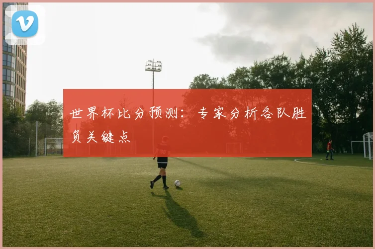 世界杯比分预测：专家分析各队胜负关键点
