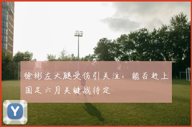 徐彬左大腿受伤引关注,能否赶上国足六月关键战待定