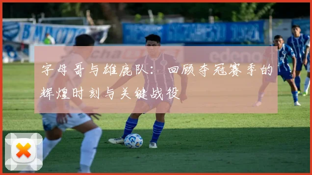 字母哥与雄鹿队:回顾夺冠赛季的辉煌时刻与关键战役